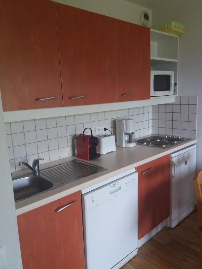 Apartament Le Hameau Des Ecrins Station 1800 Puy-Saint-Vincent Zewnętrze zdjęcie